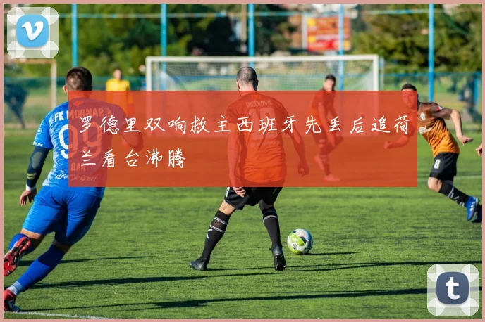 罗德里双响救主西班牙先丢后追荷兰看台沸腾