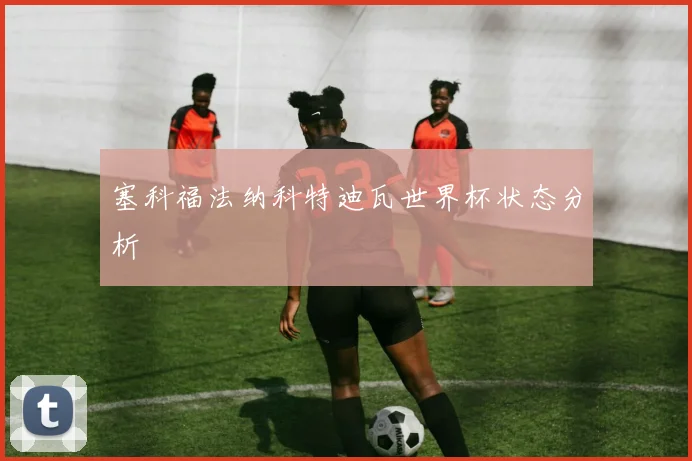 塞科福法纳科特迪瓦世界杯状态分析