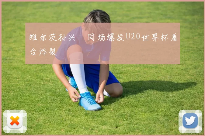维尔茨孙兴慜同场爆发U20世界杯看台炸裂