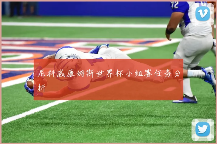 尼科威廉姆斯世界杯小组赛任务分析