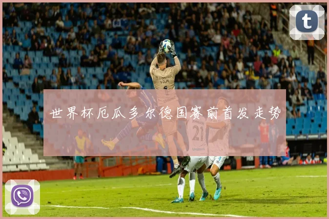 世界杯厄瓜多尔德国赛前首发走势