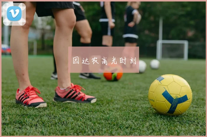 因达农高光时刻