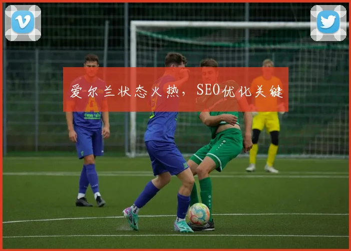 爱尔兰状态火热，SEO优化关键