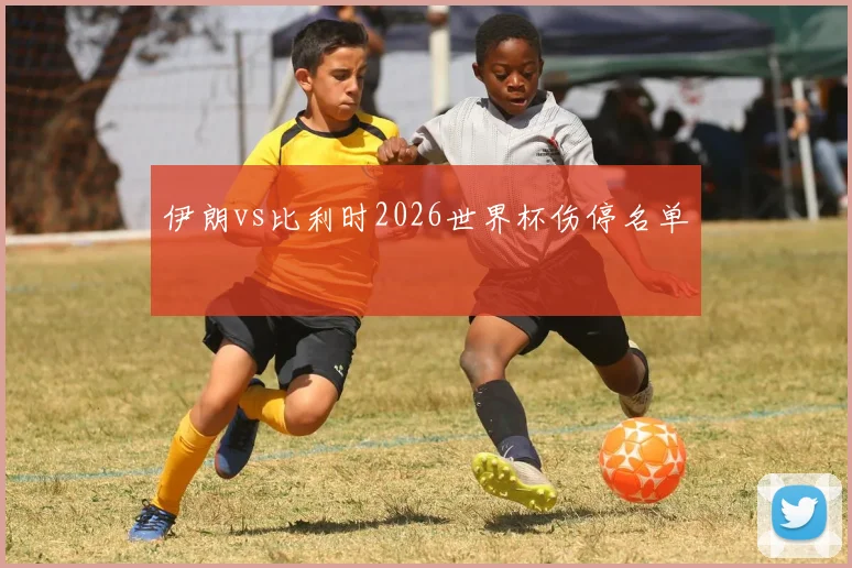 伊朗vs比利时2026世界杯伤停名单