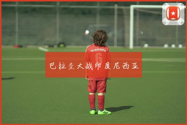 巴拉圭大战印度尼西亚