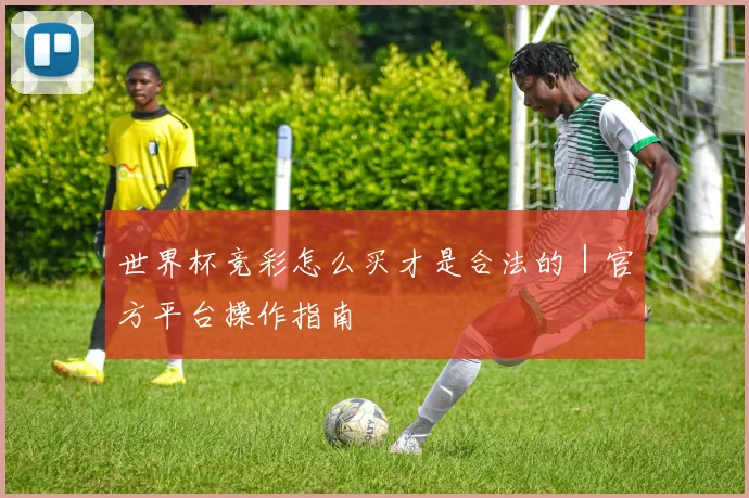 世界杯竞彩怎么买才是合法的｜官方平台操作指南