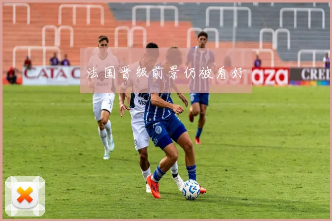 法国晋级前景仍被看好