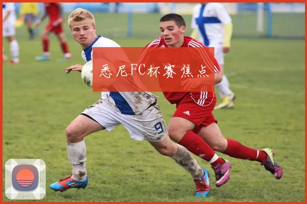 悉尼FC杯赛焦点
