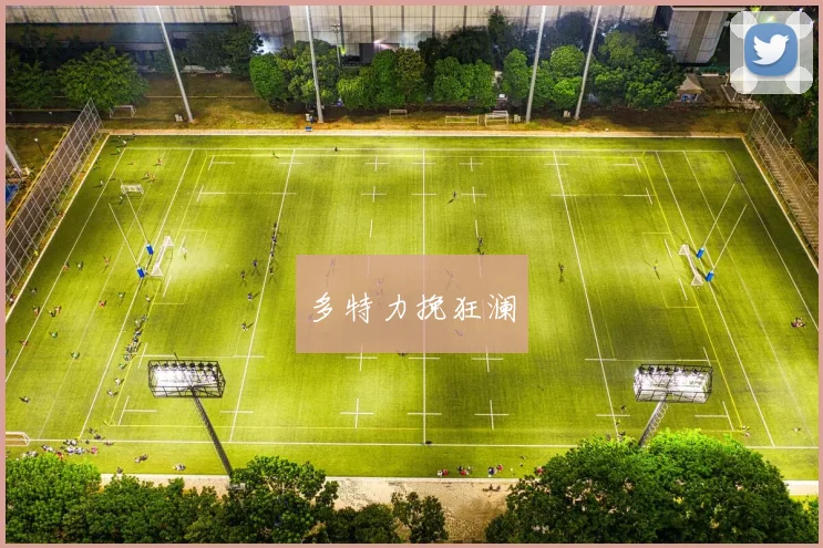 多特力挽狂澜