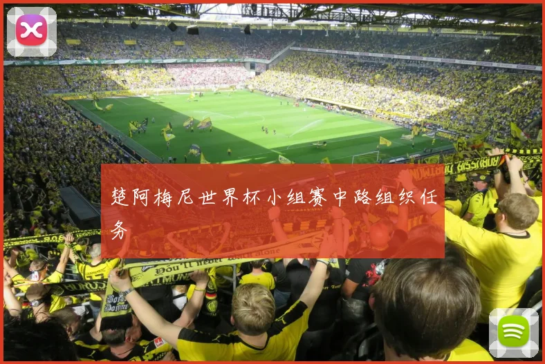 楚阿梅尼世界杯小组赛中路组织任务