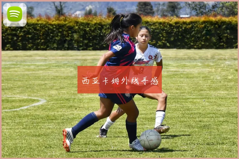 西亚卡姆外线手感