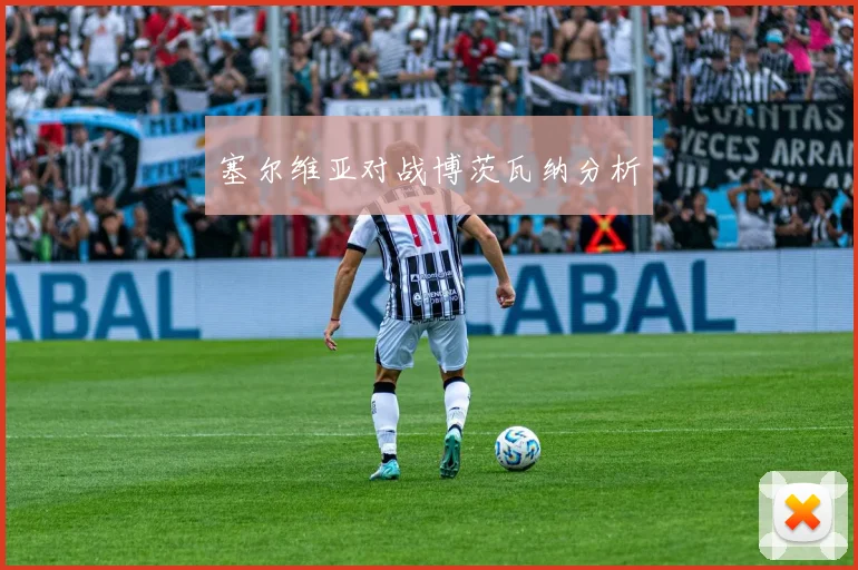塞尔维亚对战博茨瓦纳分析