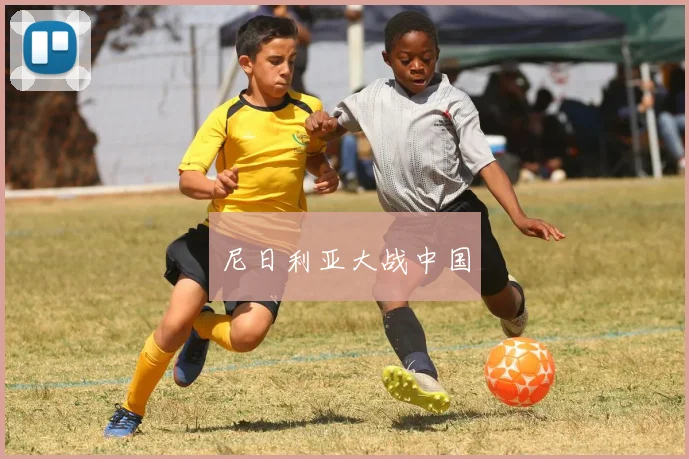 尼日利亚大战中国