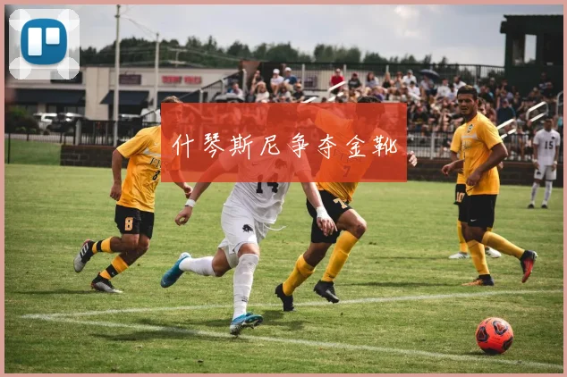 什琴斯尼争夺金靴