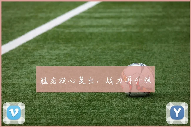 猛龙核心复出，战力再升级
