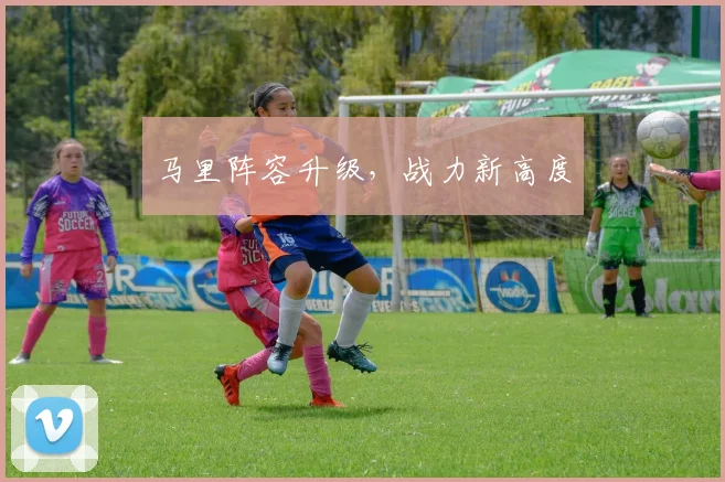 马里阵容升级，战力新高度