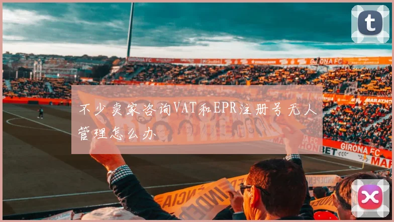 不少卖家咨询VAT和EPR注册号无人管理怎么办