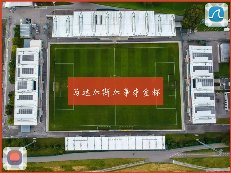 马达加斯加争夺金杯
