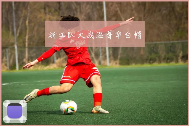 浙江队大战温哥华白帽