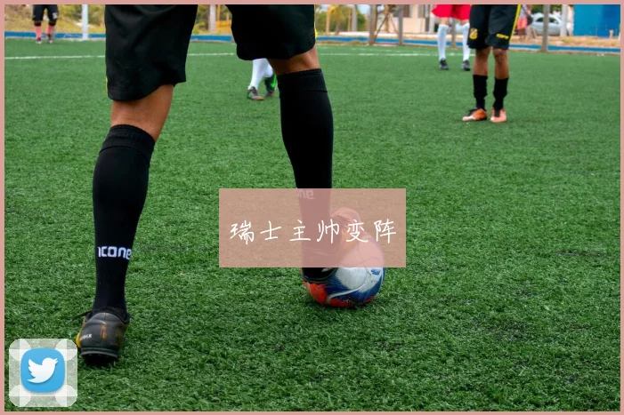 瑞士主帅变阵