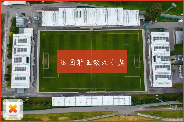 法国射正数大小盘