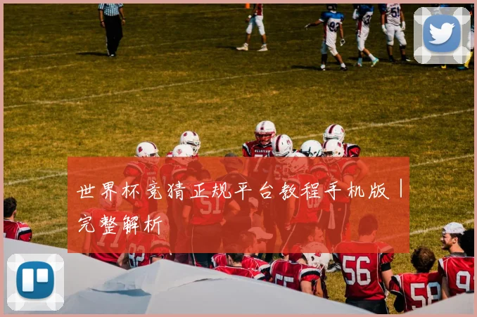 世界杯竞猜正规平台教程手机版｜完整解析