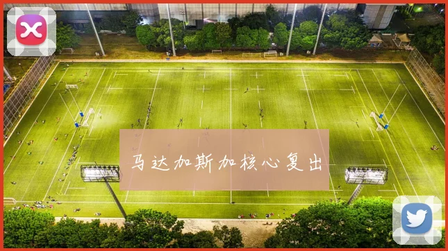 马达加斯加核心复出