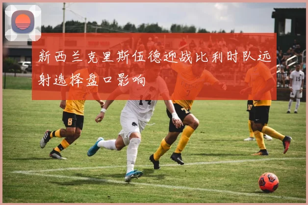 新西兰克里斯伍德迎战比利时队远射选择盘口影响