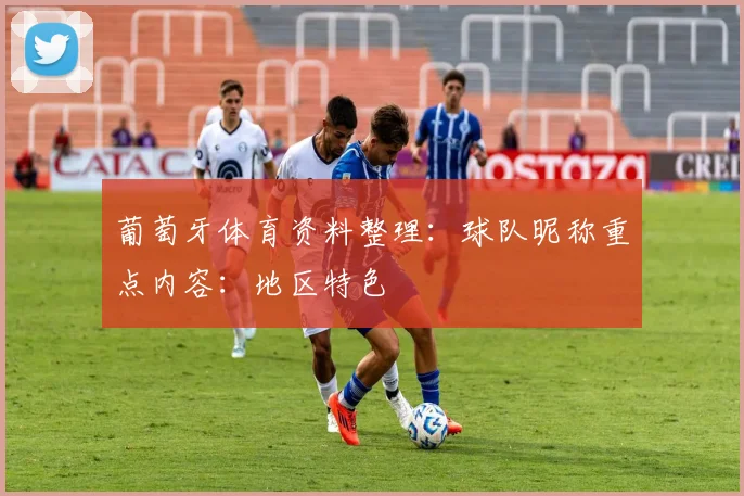 葡萄牙体育资料整理：球队昵称重点内容：地区特色
