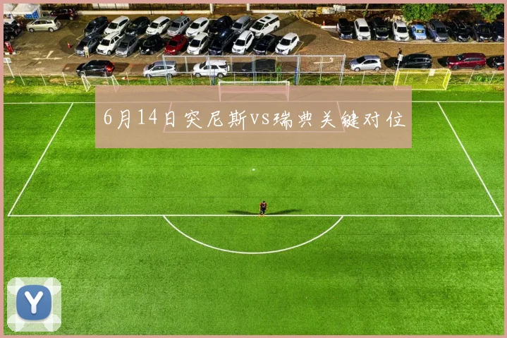 6月14日突尼斯vs瑞典关键对位